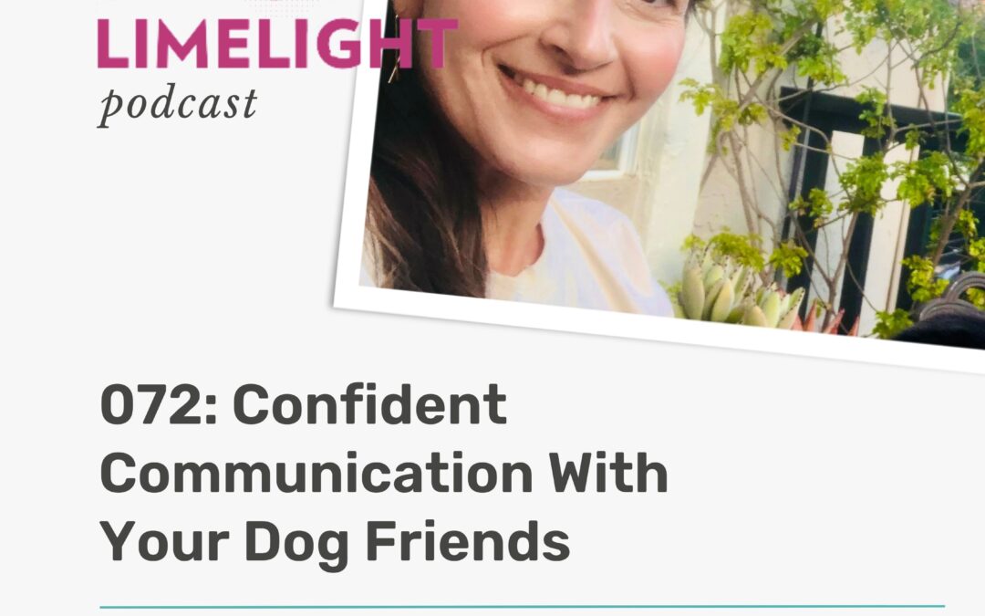 072 – Confident Communication With Your Dog Friends